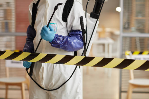 Professional Sewage Cleanup technician working in Westminster, CA